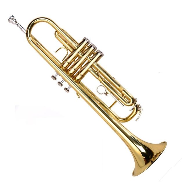 Tromba Bb in Ottone Ø123mm professionale, Strumento musicale con
